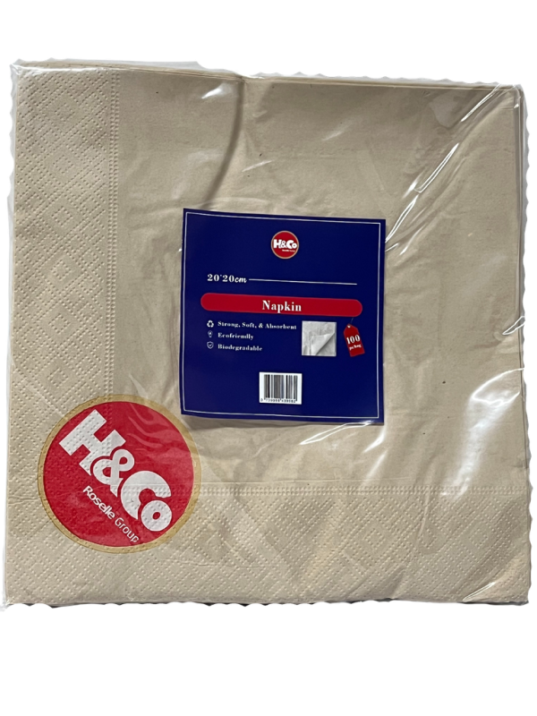 Biodegradable Napkins - 40x40 cm - 100pcs - Image 2